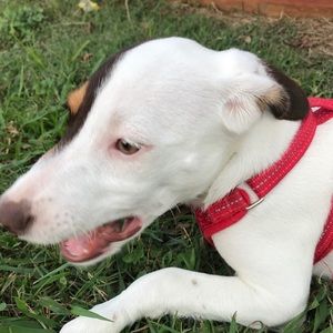 Meet your Posher, Jamarcus